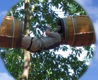 tunnels dans les arbres